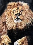 Shavel Home Products Lion High Pile Plush Throw Reversible Blanket 59" X 77". Fixed Price $45.55.