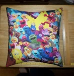Cotton Pillow - Handmade With Purchased, Licensed Sesame Street Gang Fabric. Fixed Price $13.99.