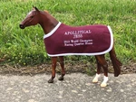Apollitical Jess Embroidered Blanket For Breyer Quarter Racehorse Qh. Fixed Price $25.35.