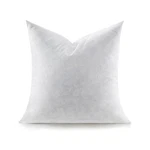 Swandream Feather Throw Pillow Insert, Soft Fluffy Square 22 X Inches Decorat. Fixed Price $43.75.