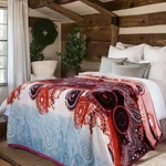 Dada Bedding Paisley Dreams Floral Burgundy Mink Fleece Flannel Throw Blanket (x. Fixed Price $32.99.