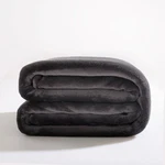 Ultra Soft Flannel Fleece All Season Light Weight Living Room/bedroom Warm Th.... Fixed Price $38.06.