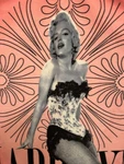 Marilyn Monroe Signature Collection Pink Fishnet Fleece Throw Blanket 55X46. Fixed Price $13.00.
