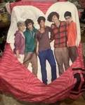 One Direction 1D Pink Fleece Blanket Throw With 5 Members Photo. Pre Owned. Fixed Price $74.00.