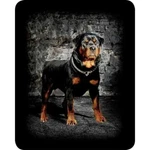 Queen Size Rottweiler Wall Guard Dog Super Soft Faux Fur Plush Mink Blanket. Fixed Price $59.99.