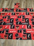 Pre Owned Ncaa Cincinnati Bearcats Lightweight Blanket Color Black & Red. Fixed Price $14.99.