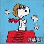 Intimo Peanuts Snoopy The Flying Ace And Red Baron Dogfight Fleece Plush. Fixed Price $59.05.
