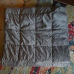 Mainstays Gray Weighted Blanket 48 X 72 Polyester Modern All Seasons. Fixed Price $40.00.