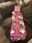 Brand New Hello Kitty 50"X70" Silk Touch Throw Blanket, Pink Pride. Fixed Price $10.00.