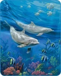 Queen Size Dolphins Blue Ocean Coral Sea Fish Mink Faux Fur Super Soft Blanket. Fixed Price $59.99.
