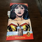 New Dc Comics Wonder Woman Super Plush Throw Blanket 40 X 50 & Pillow 11. Fixed Price $7.00.