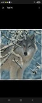 Dawhud Direct Lone Wolf Fleece Blanket For Bed 50X60 Throw Kids. Fixed Price $15.00.