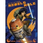 Lucas Star Wars "rebels Rule" Raschel Super Plush Disney Blanket. Fixed Price $18.79.