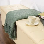 Gealaek Decorative Fluffy Faux Cashmere Throw Blanket Stone Green Fringe. Fixed Price $27.89.