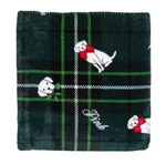 Victorias Secret Pink Cozy Soft Green Fleece Puppy Dog Sherpa Blanket Throw 2024. Fixed Price $32.99.