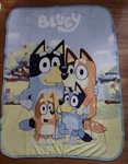 Free Northwest Disney Bluey Happy Family Soft Fleece Throw Blanket 45 X 60 New. Fixed Price $24.95.
