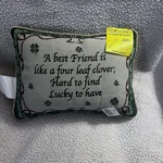 Decorative Accent Throw Pillow "a Best Friend Is Like Four Leaf Clover 13X9. Fixed Price $14.00.
