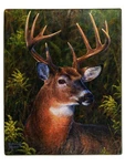 American Heritage Royal Plush Buck Deer Throw Blanket "whitetail" 50 In X 60. Fixed Price $29.88.