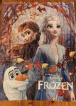 Disney Frozen 2 Anna-elsa & Olaf Fleece Ultra Soft Lightweight Blanket 50"X 40". Fixed Price $18.99.