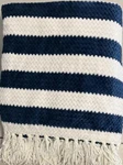 Lacourte Gareth 50" X 60" Chenille Knit Throw, Blue/white. Fixed Price $39.90.