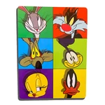 New Warner Bros Looney Tunes Expressive Toons Soft Plush Blanket 46" 60''. Fixed Price $19.99.