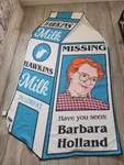 Netflix Stranger Things Where Barb Beach Blanket Milk Carton Microfiber. Fixed Price $22.99.
