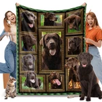 Blanket For Women Kids, Chocolate Dog 50" X 60" Labrador. Fixed Price $41.68.