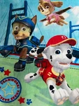 Paw Patrol Plush Fleece Blanket Throw Teamwork Chase Sky Marshall Nickelodeon. Fixed Price $19.79.