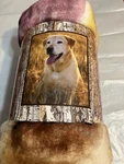 Wild Heritage Raschel Throw Lab Blanket 50 X60 Super Soft. Fixed Price $21.95.
