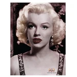 Marilyn Monroe Portrait Lightweight Fleece Throw Blanket 45 X 60 Inches. Fixed Price $29.99.