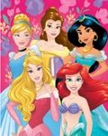 Disney Princess Silk Throw Soft Blanket 40"X50" Cinderella Belle Jasmine Aurora. Fixed Price $19.99.