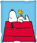 Silver Buffalo Peanuts Snoopy & Woodstock X 45" 60",. Fixed Price $63.99.