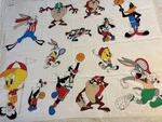 Vintage Warner Brothers Sports Fabric Panels For Pillows Set Of Two. Fixed Price $19.95.
