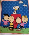 Peanuts Fleece Toddler Blanket Throw Snoopy Charlie Brown. Fixed Price $17.50.