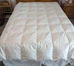 Royoliving Queen Down Comforter Cotton Shell. Fixed Price $20.00.