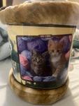 American Heritage Collection Royal Plush Raschel Throw Blanket Tabby Cat Kitten. Fixed Price $21.00.