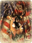 79X96 Queen Patriotic Deer Buck Flag Scene Mink Fleece Blanket Super Plush. Fixed Price $59.99.