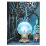 New The Witches Apprentice Cat Plush Throw Gift Blanket Sherpa Lisa Parker Soft. Fixed Price $14.76.