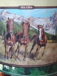 American Heritage Collection, Royal Plush Raschel Throw, Spring RUN,50"X60", New. Fixed Price $22.00.