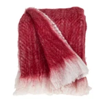 Parkland Collection Nagar Transitional 52" X 67" Woven Handloom Throw. Fixed Price $57.80.