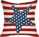 4TH Of July Patriotic Decorative 20 X Inch Throw Pillow Cover, America Sta.... Fixed Price $29.00.