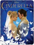 Disney's Cinderella Royal Couple Woven Tapestry Throw Blanket. Fixed Price $14.95.