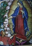 Blessed Virgin Mary Our Lady Of Guadalupe Fleece Throw Blanket Plush New. Fixed Price $22.99.
