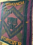 Black Panther Throw Blanket World Of Wakanda Forever Disney Parks Marvel 60"X50". Fixed Price $16.00.