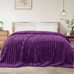 Exclusivo Mezcla Twin Size Flannel Fleece Blanket, Super Soft Striped Jacquar.... Fixed Price $38.39.
