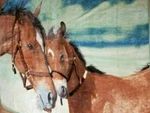 Shavel Home Products Luxury High Pile Throw, 60" 80" - Horse With Foal. Fixed Price $39.95.
