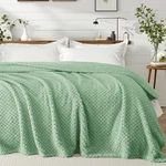 Exclusivo Mezcla Queen Size Fleece Blanket, Soft Warm Throw For Bed/sofa, Sage. Fixed Price $42.48.