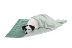 Furhaven Waterproof Throw Blanket For Dogs & Indoor Medium, Celadon Green. Fixed Price $26.62.