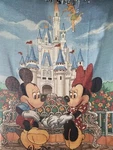 Walt Disney World Cinderella Castle Tapestry Throw Blanket Mickey Mouse Woven. Fixed Price $29.99.