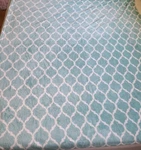 Madison Park Ogee Lightweight Oversize Ultra Soft 59X72 Throw Blanket. Fixed Price $25.00.